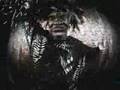 Busta Rhymes - Put Your Hands Where My Eyes Can See