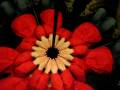 videos de MVI 0798