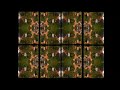 panoptico kaleidoscopico aereo