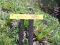 videos de La Soufrière