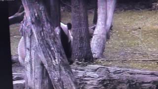 Smithsonian National Zoo