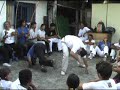 Rat�o e Mauro