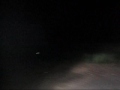 7 bulbed 295 watt HID Lightforce Blitz 7 bulbed 295 watt HID Lightforce Blitz