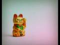 videos de pimba.com: gatito