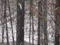 MOV007