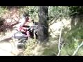 quad adly 320S 4