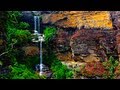 Olympus PEN E-P3 video test - Blue Mountains
