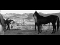 Így készült a Chanel lovas reklámfilmje