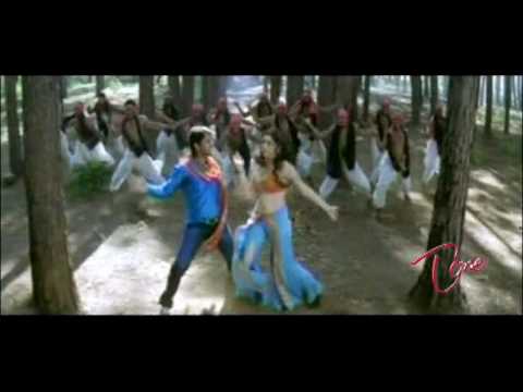 hansika, nithin, latest film, trailers, entertainment, seetha ramula kalyanam, video songs, telugu language, jayam, desa muduru, kanthri