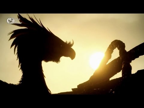 Final Fantasy XV - Trailer da Vida Selvagem