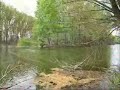 Dunav kod Apatina -Har?a?- Dunav kod Apatina -Har?a?-