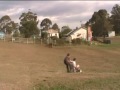 Billy Cart crash