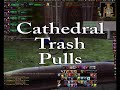 Team Infinite Reality does Scarlet Monastery Arm and Cath
