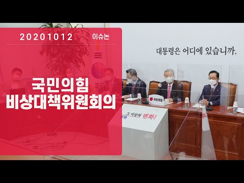 10월 12일 비상대책위원회의