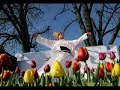 Mein tere sung
