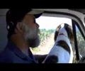 Smith-Madrone - Making wine on a Napa mountain