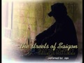 The Streets Of Saigon - Ralph McTell - covered by: npn.avi