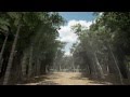 FYPVR 2012/2013 - Kamikaze Trailer