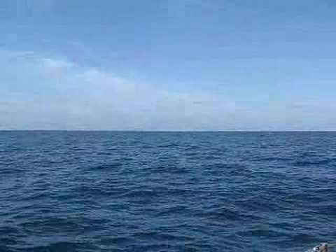 Passage from Mazatlan to Baja California