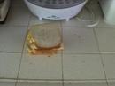 Peanut Butter, Banana and Brown Sugar Sandwich with Milk