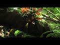 1stAveMachine - Quinns