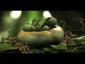 1stAveMachine - Quinns