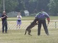 Dog Sport Demo 3