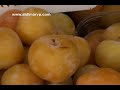 Town of Amalfi on the 
