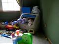 videos de Rylie's new toy