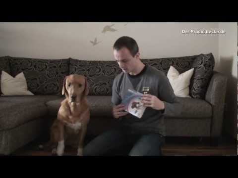 Erziehungshalsband im Selbstversuch...