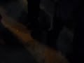 SDC10022