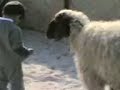 kebch soufi kebch soufi