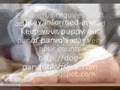 Dog Parvo - The deadliest viral disease of dogs