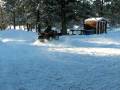 videos de snow doughnuts