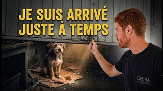 IL ENFERME SON CHIEN DANS SON GARAGE 24/24H 7/7J ! ( CAM OFF )