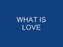 what is lowe what is lowe