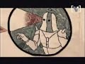 Ladytron: Evil