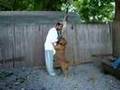 Brockton pit bull breeder