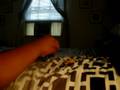 videos de tiny toys