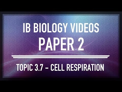 how to study for ib biology sl exam