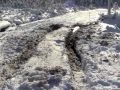 Trail damage