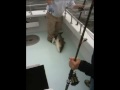 Chesapeake Beach Fishing in Maryland with Hog Bay Charters