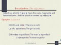 the adjectives   los adjetivos