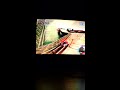 Youtube Youtube