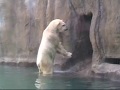 videos de Erikdag1.wmv