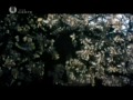 Bibel Film - Am Anfang Die Bibel