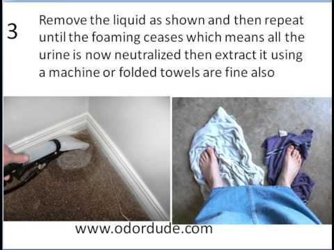 how to eliminate human urine smell
