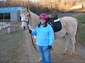 palle-terre-a-terre.html