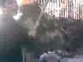 videos de chubby