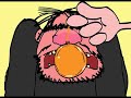 Woody Allen Stand Up 3 \